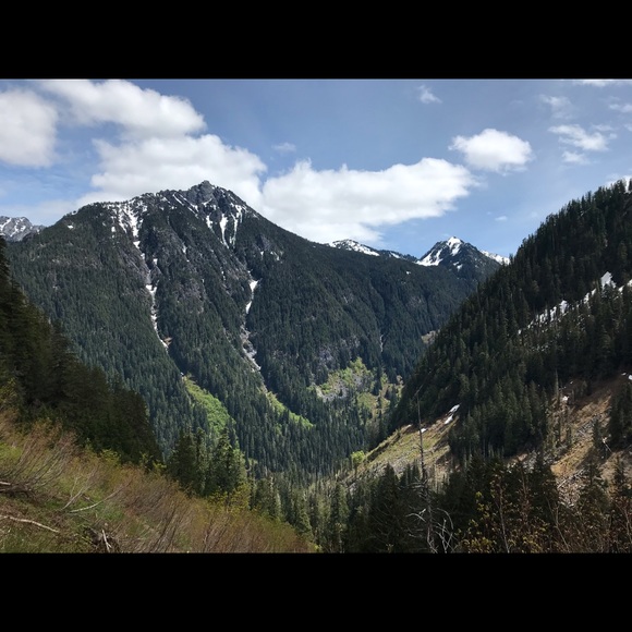 welcome! - Picture 7 of 7